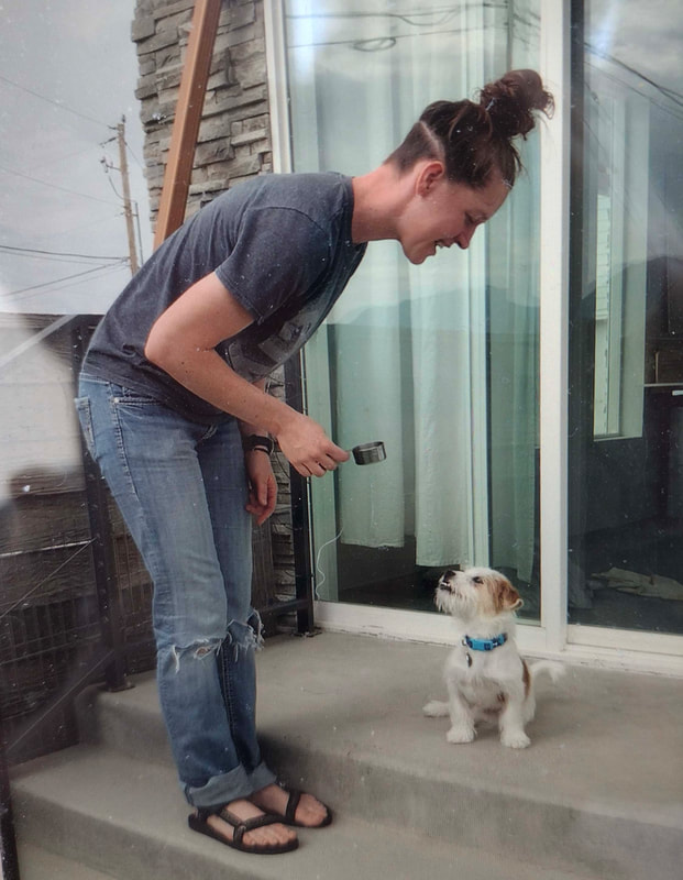 Puppy School