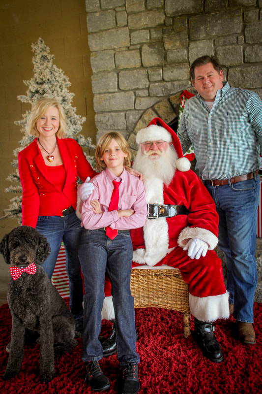 Best family dog, Standard Poodle